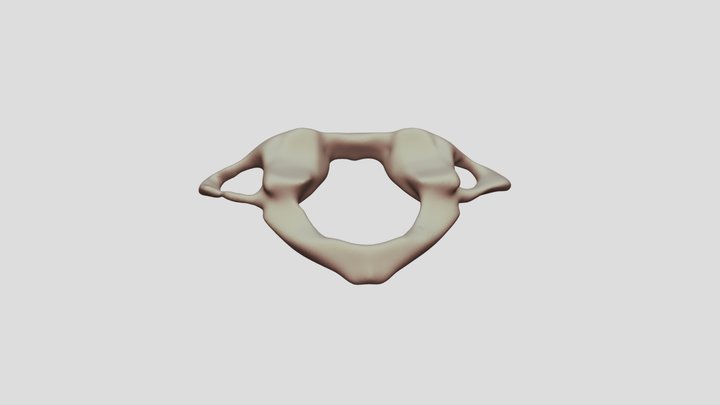 Cervical vertebra c1 (atlas)