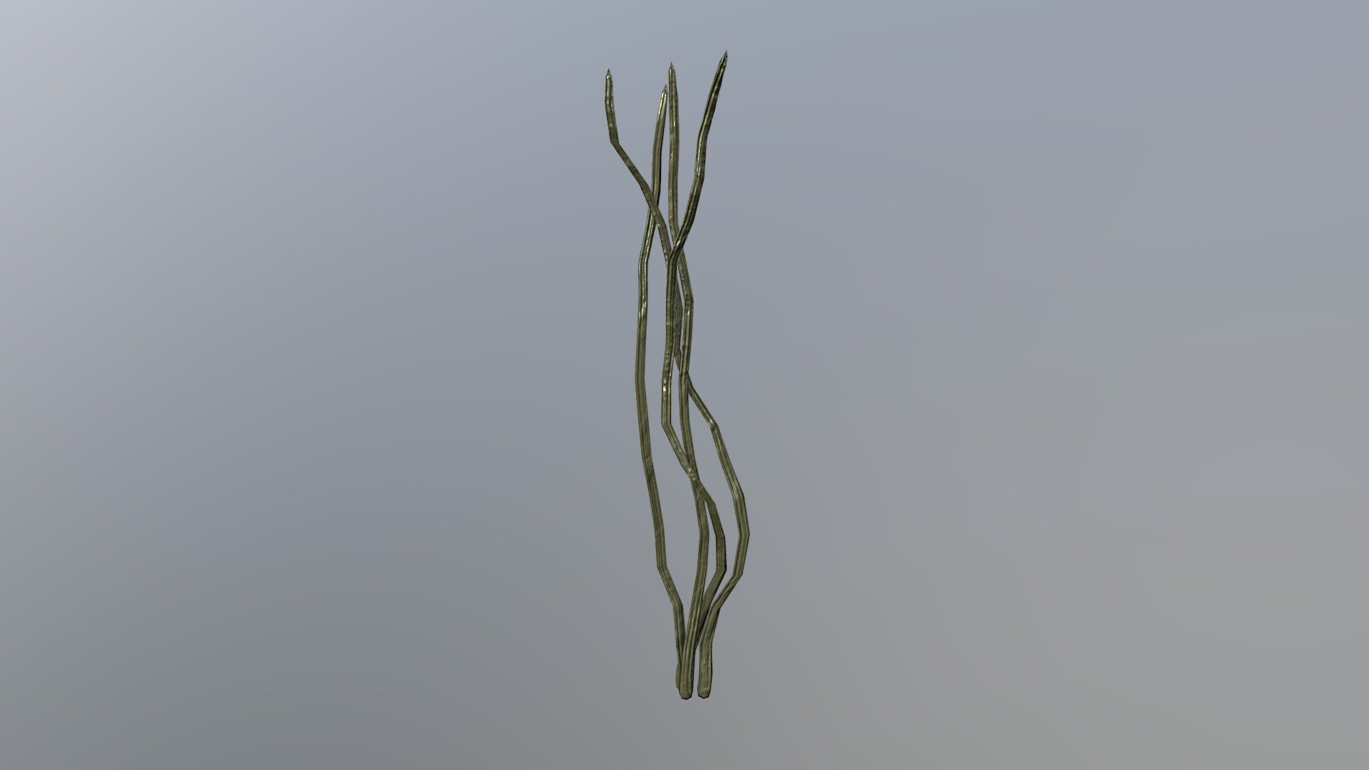 Seaweed 1 - 3D model by JenniferF (@Jennifac) [1e85ead] - Sketchfab