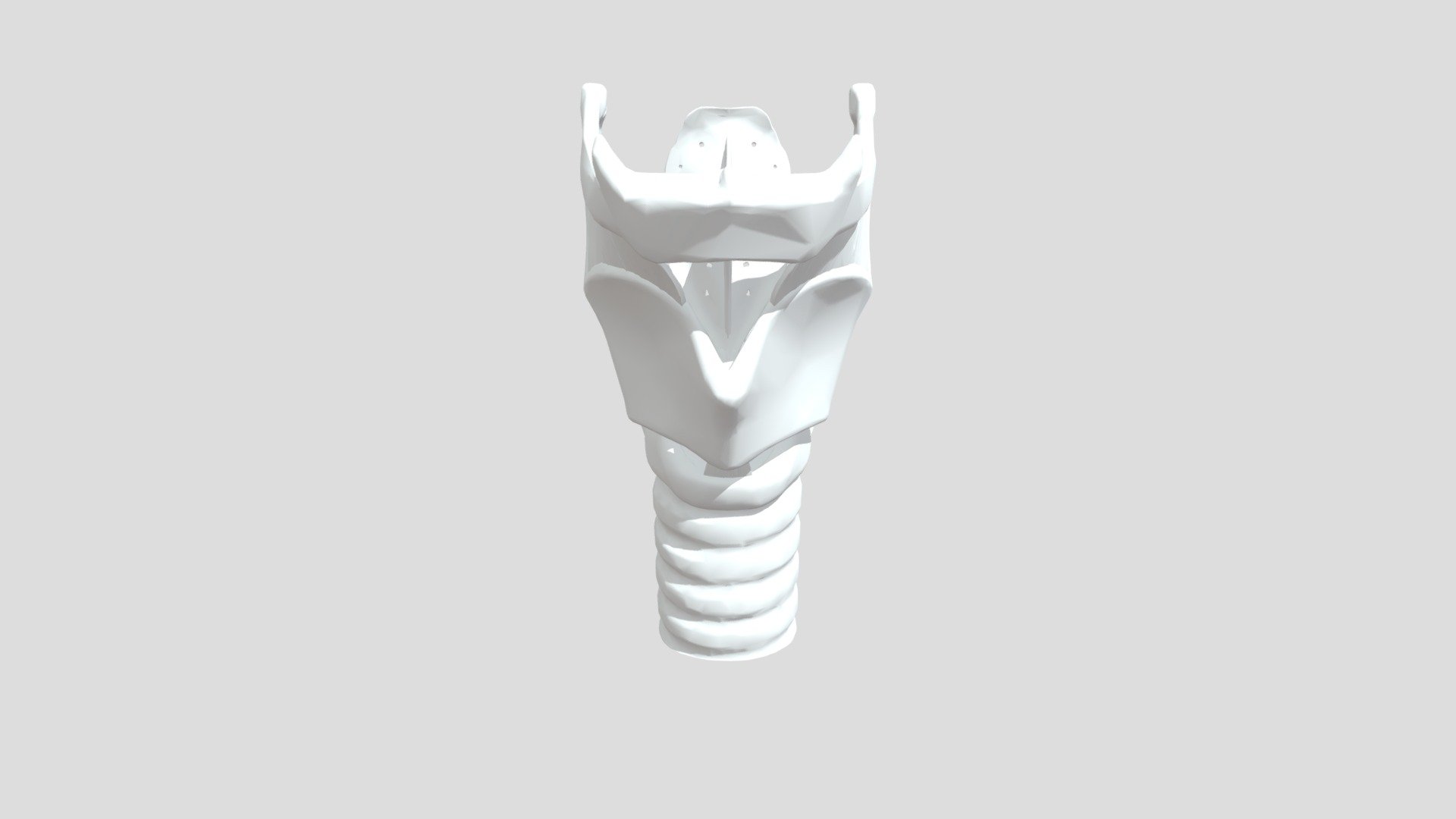 Anatomy_of_the_larynx - 3D model by morfofuncion_udp [1e864e8] - Sketchfab