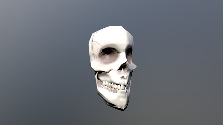 Low Res Skull Model 3D Model