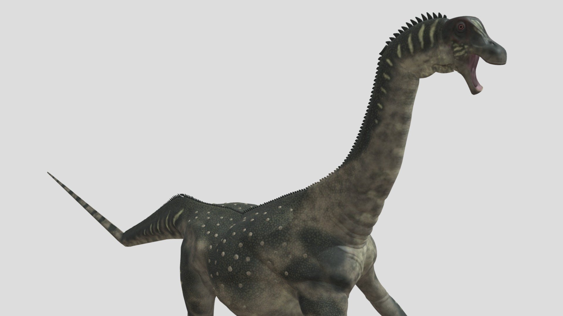 antarctosaurus - Download Free 3D model by seth the yutyrannus ...