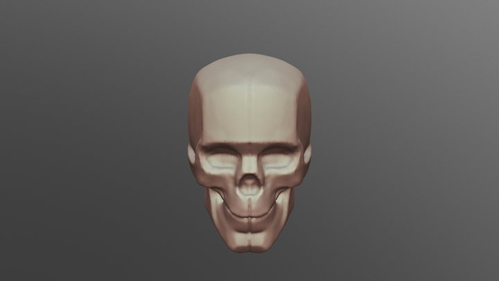 Basic Skull 01 - Bammes Inspired 3D Model