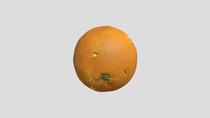 Orange 3D Model