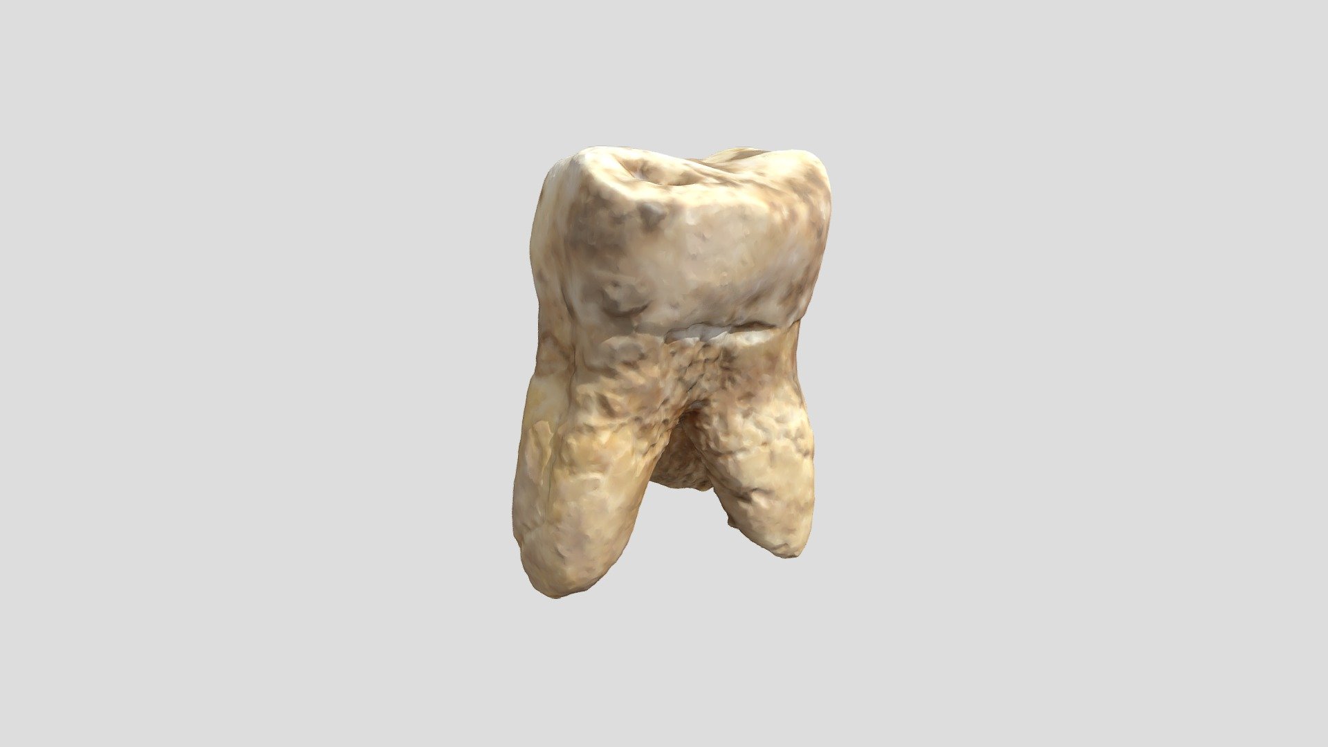 Muestra Dental - Parrones de Rancagua - 3D model by urrutia.cony ...