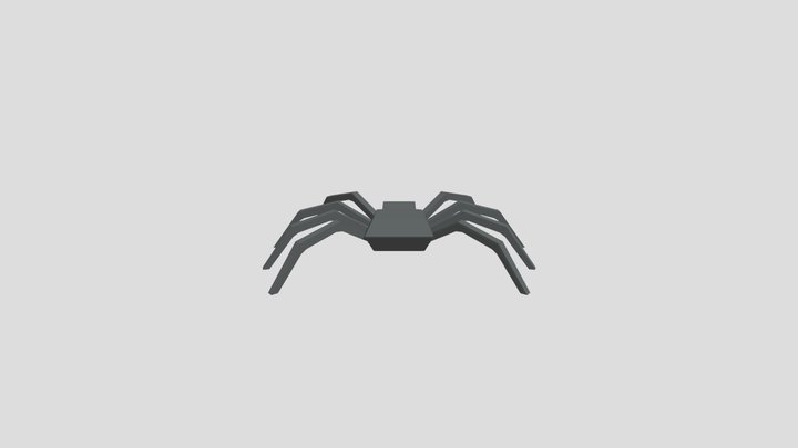Spider Model 3D Model