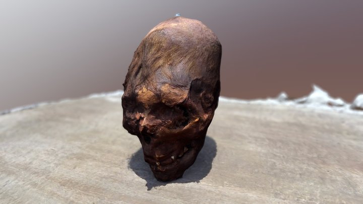 Paracas Peru Elongated Skulls #3 3D Model