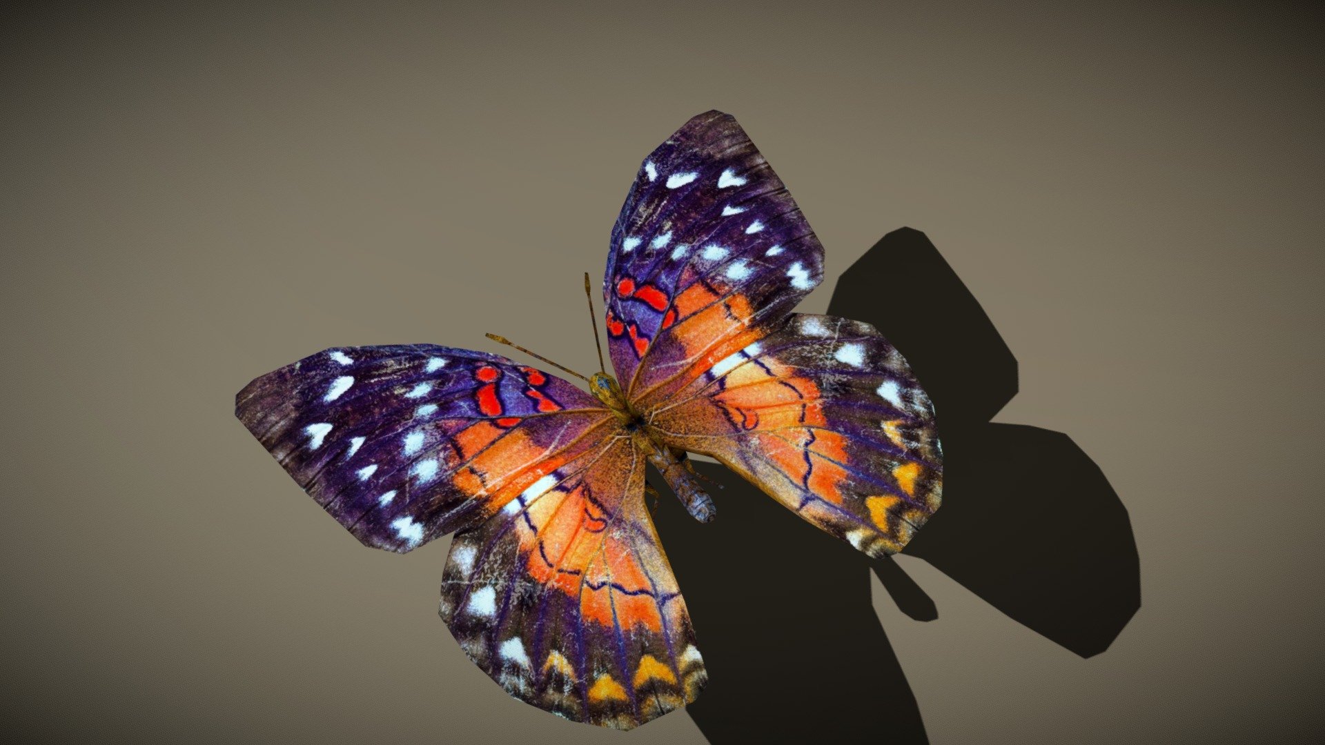 3DRT - birds and critters - butterfly-01 - Buy Royalty Free 3D model by ...