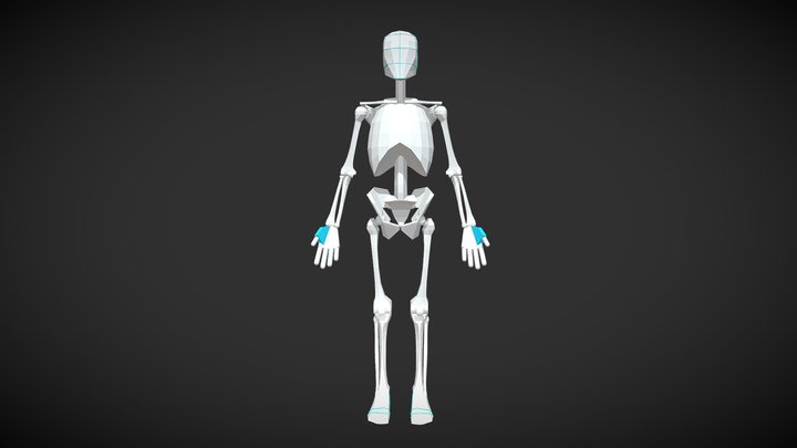 Male Skeleton For Artists 3D Model