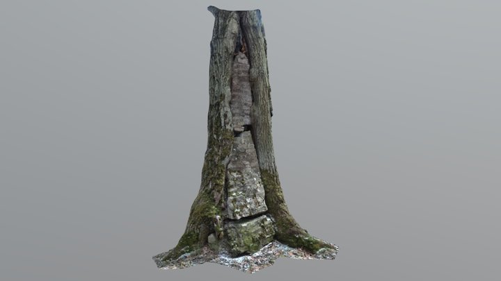 Tree_ Bricks_001 3D Model