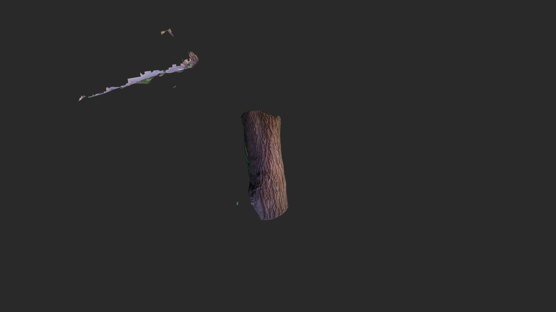3d scan of trunk
