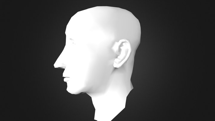 Full Head Man 06a 3D Model