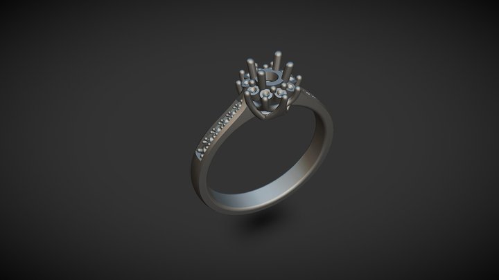 ring 17 3D Model