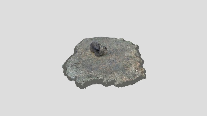 鹿@奈良公園 3D Model