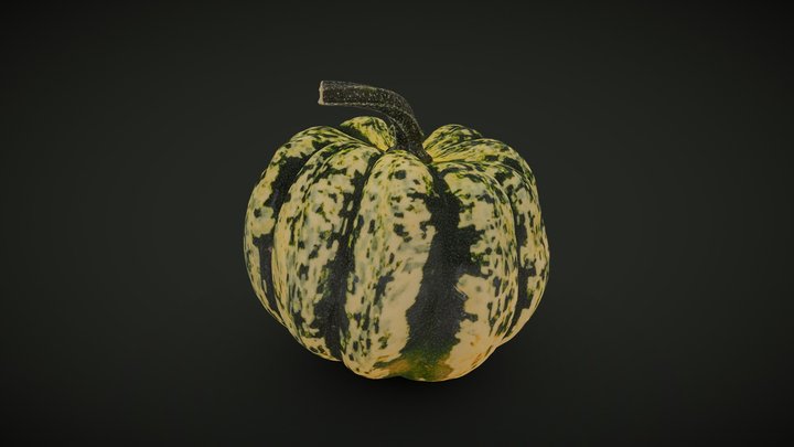 Green Pumpkin 3D Model