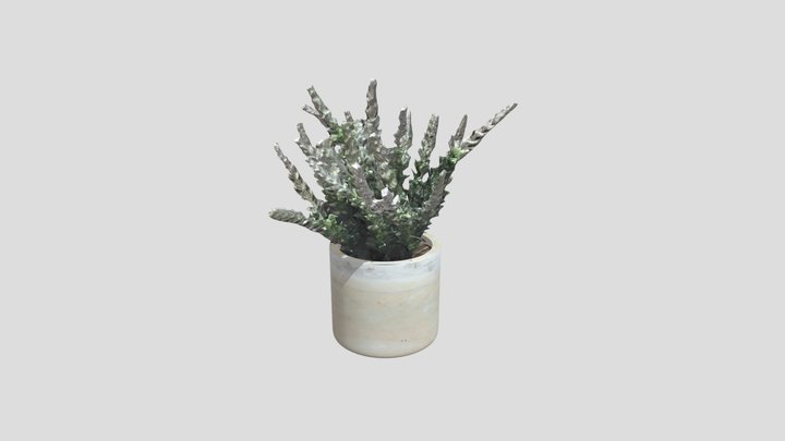 Desk Pot Plant 3D Model