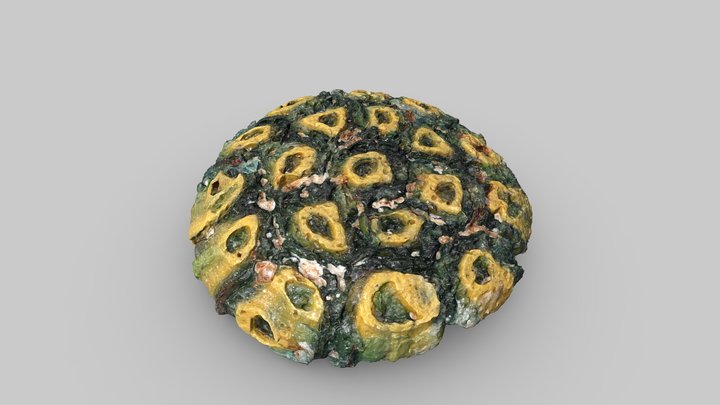 Token 3D models - Sketchfab