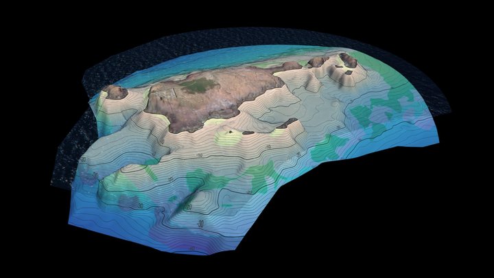 Sites de plongée du lion de mer 3D Model