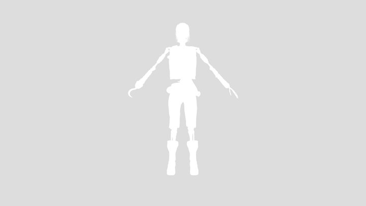 Undead Pirate Skeleton Unrigged