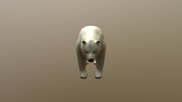 Oso Polar Pablo Verdugo Examen (No Animated) 3D Model