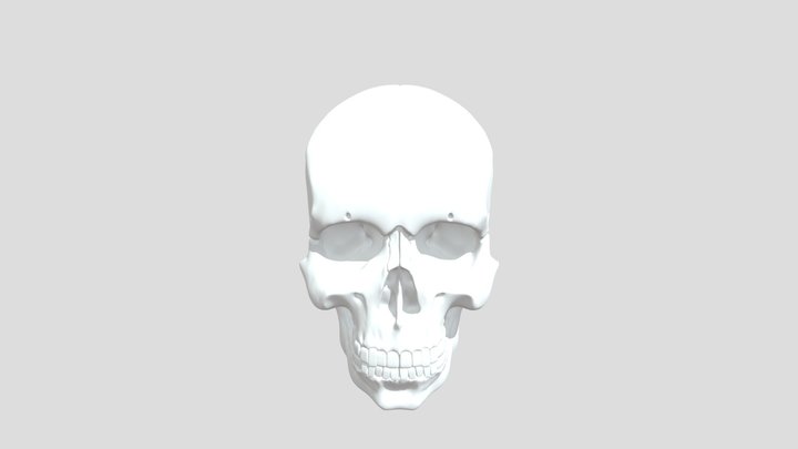 Yorick's skull 3D Model