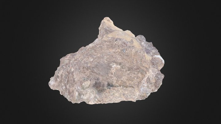 Pebble Bluff Unlabeled 5 3D Model