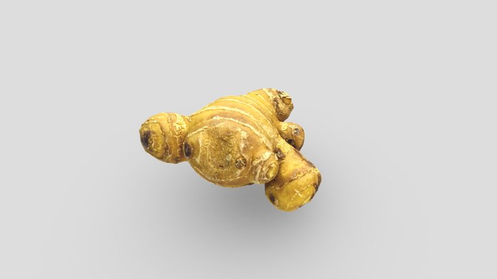 Ginger (3D Scan) 3D Model
