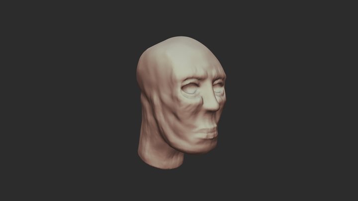 Head 3 3D Model