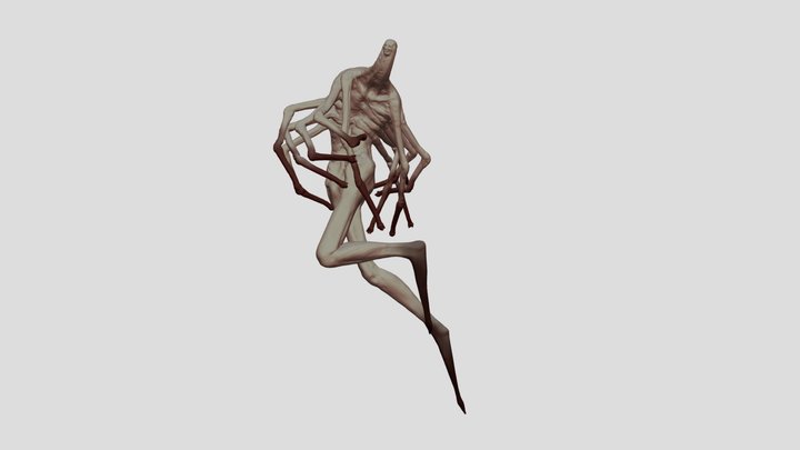Shrimp 3D Model