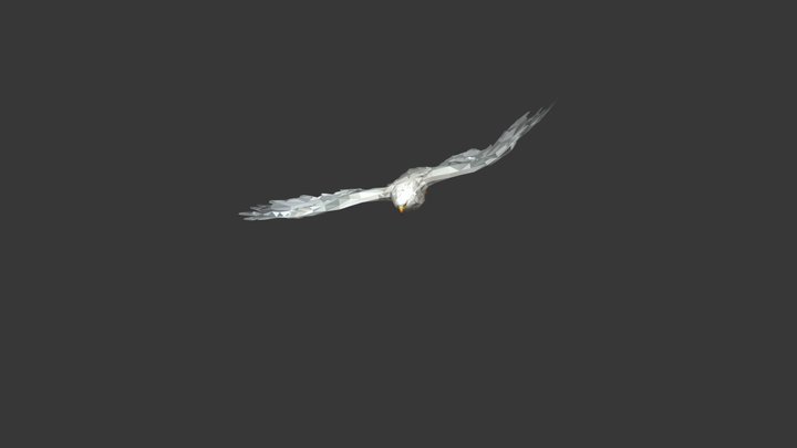 Eagle Static Flight 3D Model