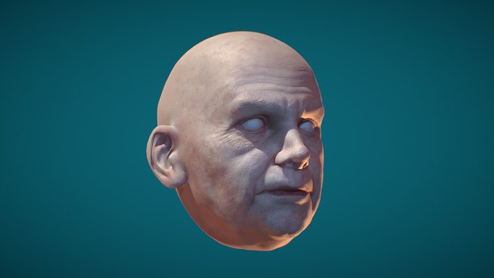 Bolsonaro's Head – Free 3D Model STL