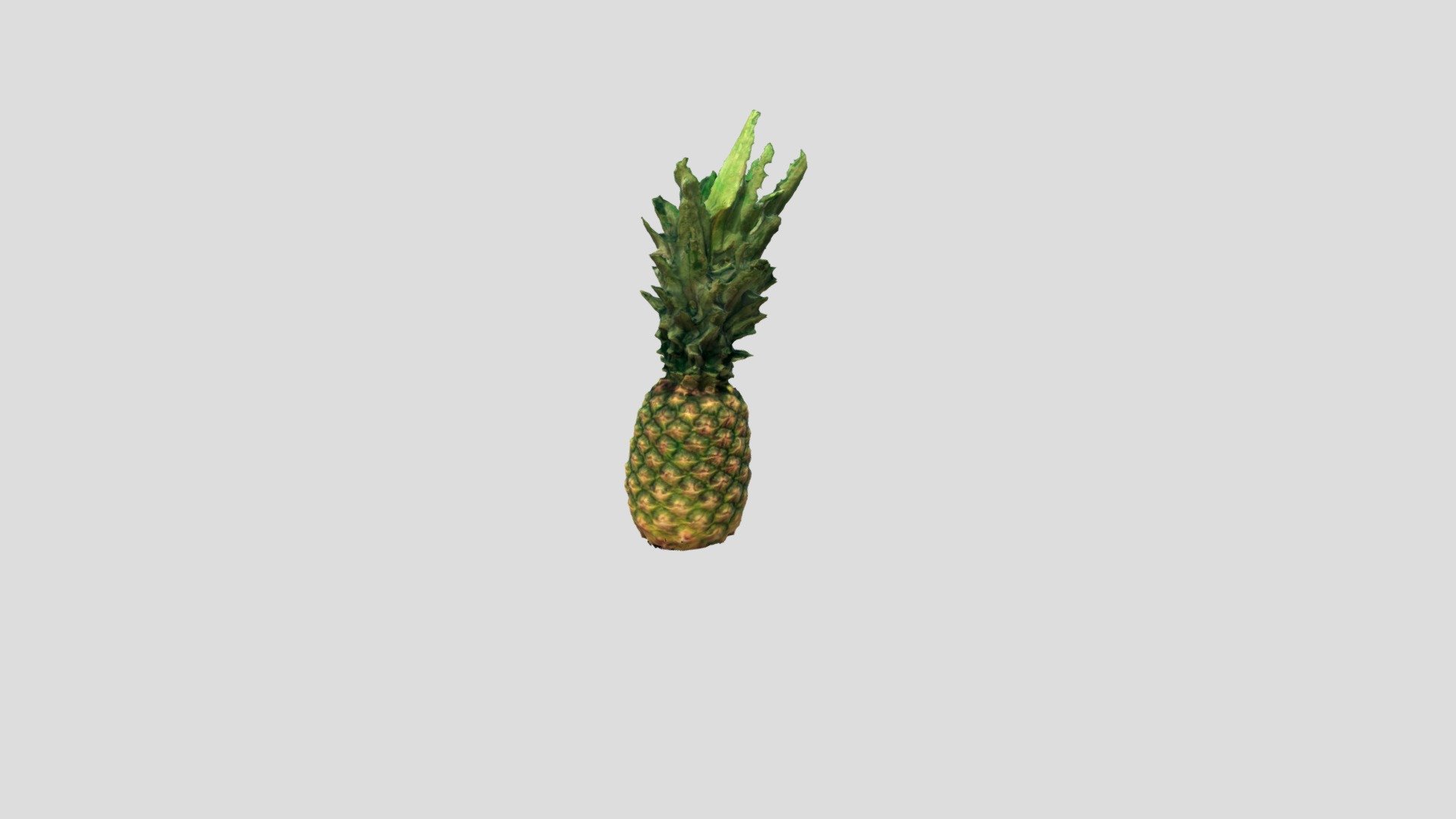 Pineapple [Photogrammetry]