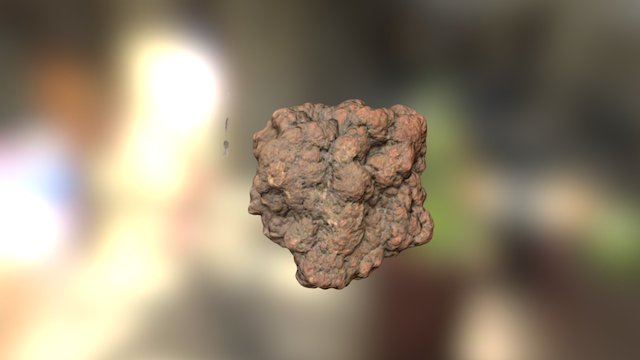 Koprolith 3D Model