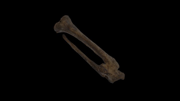 Sépulture 001, Bondy 3D Model