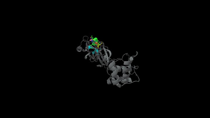 COVID-19 protease interaction with inhibitor N3 3D Model