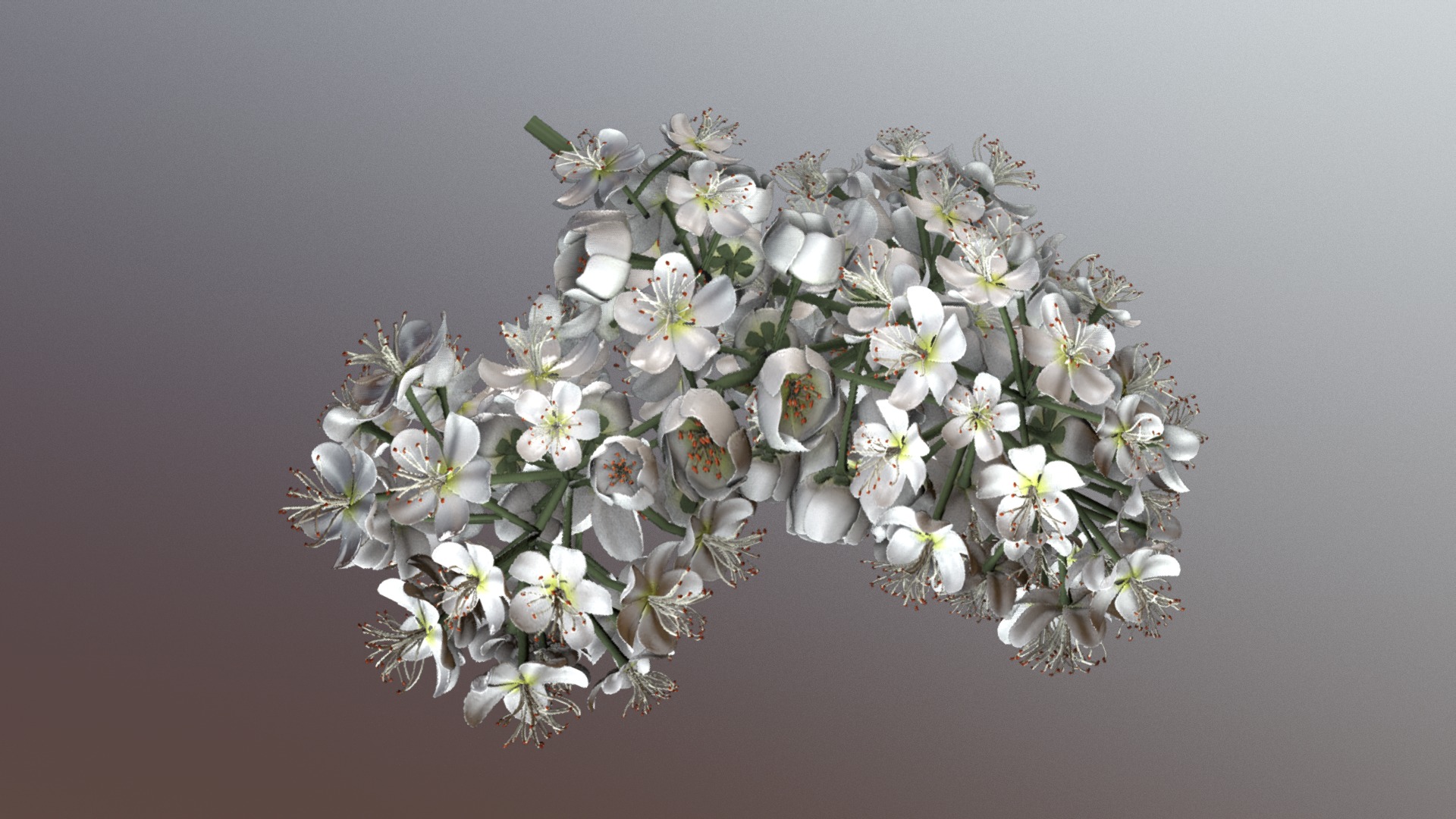 3D model Blossom of a Rowan Low-Poly - This is a 3D model of the Blossom of a Rowan Low-Poly. The 3D model is about a white flower with green leaves.