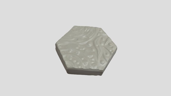 Diatom Paver 3D Model