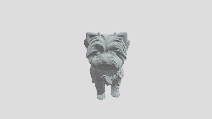 Maltese,dog,idle pose,white 3D Model
