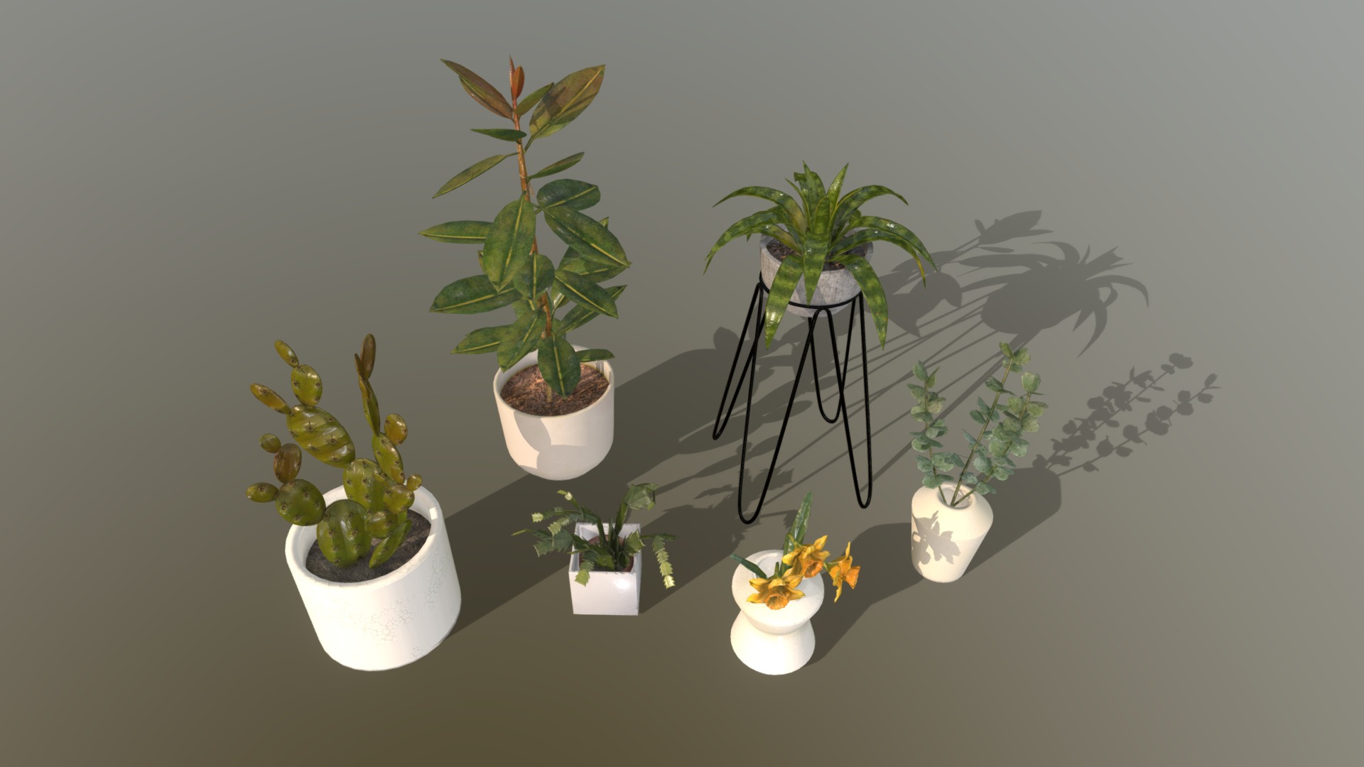 3D model Indoor Houseplants Asset Pack - This is a 3D model of the Indoor Houseplants Asset Pack. The 3D model is about a group of potted plants.