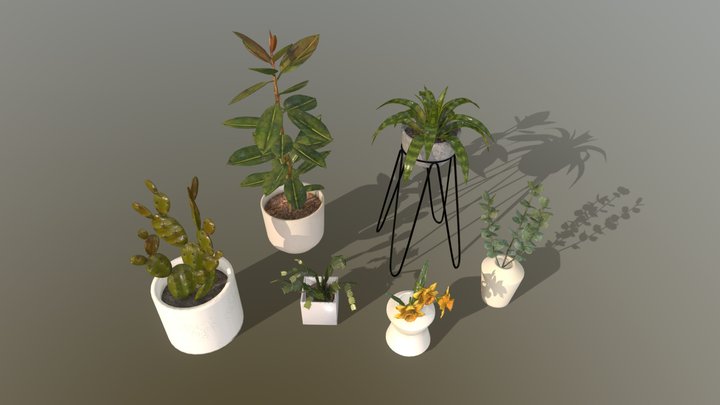 Indoor Houseplants Asset Pack 3D Model