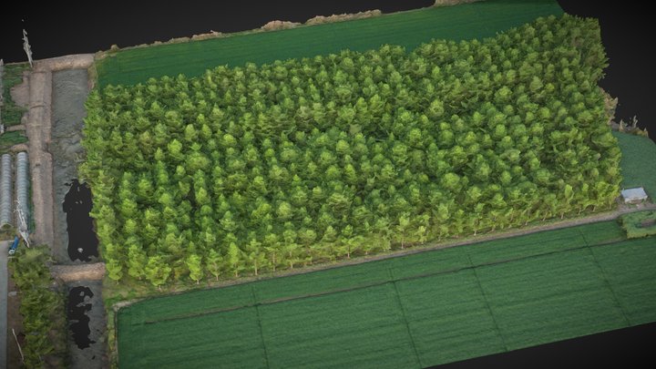 Cornfield and tree farm – Gratis 3D-model STL