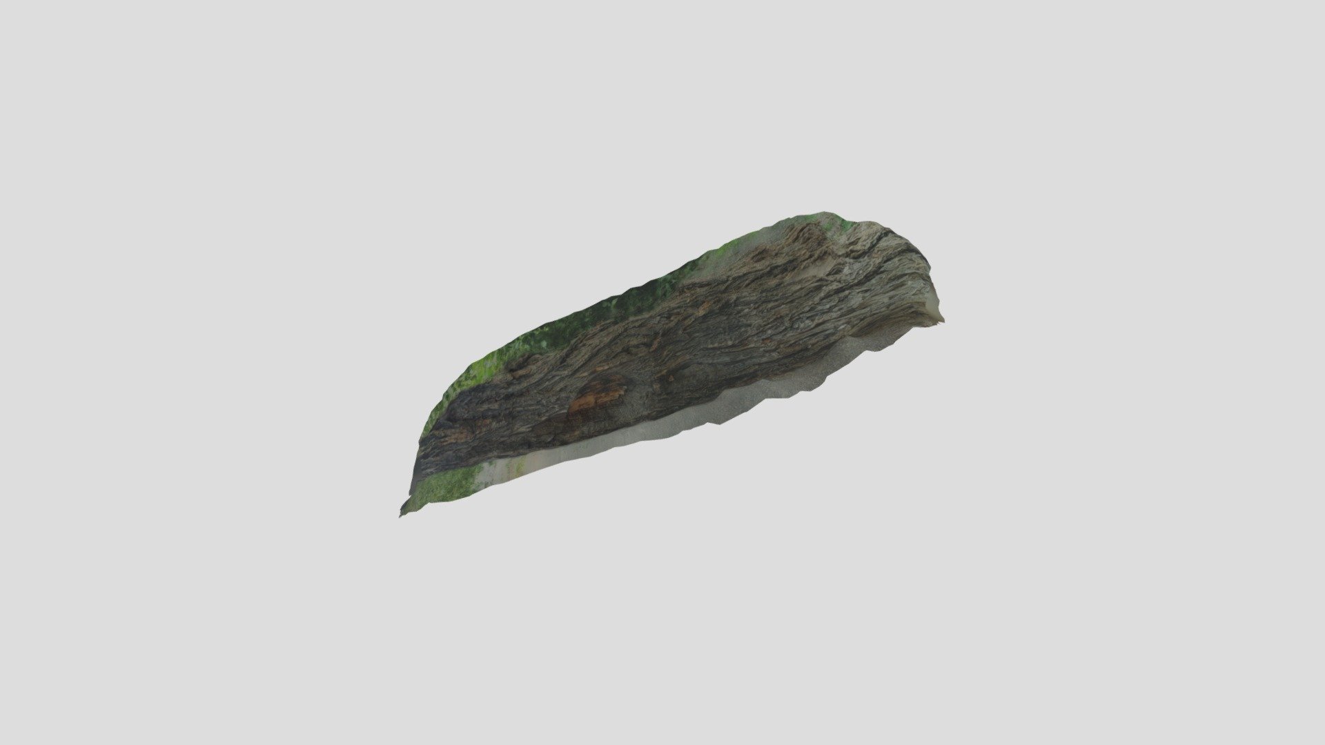 Bark