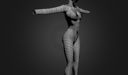 corpo 3D Model