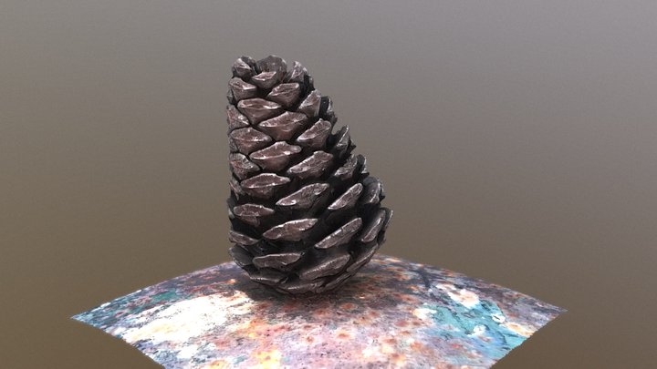 Pinecone 3D Model