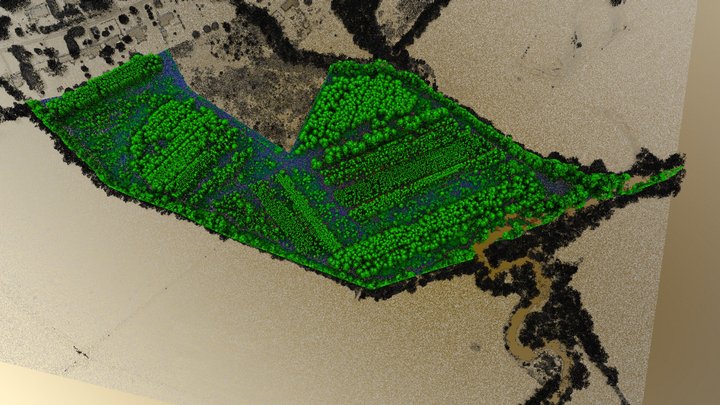TBD Hart Road, Pisgah Forest, NC - Lidar 3D Model