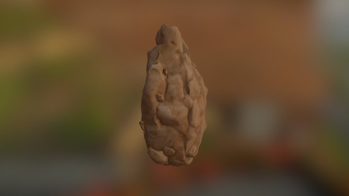 Desert Rock 3D Model