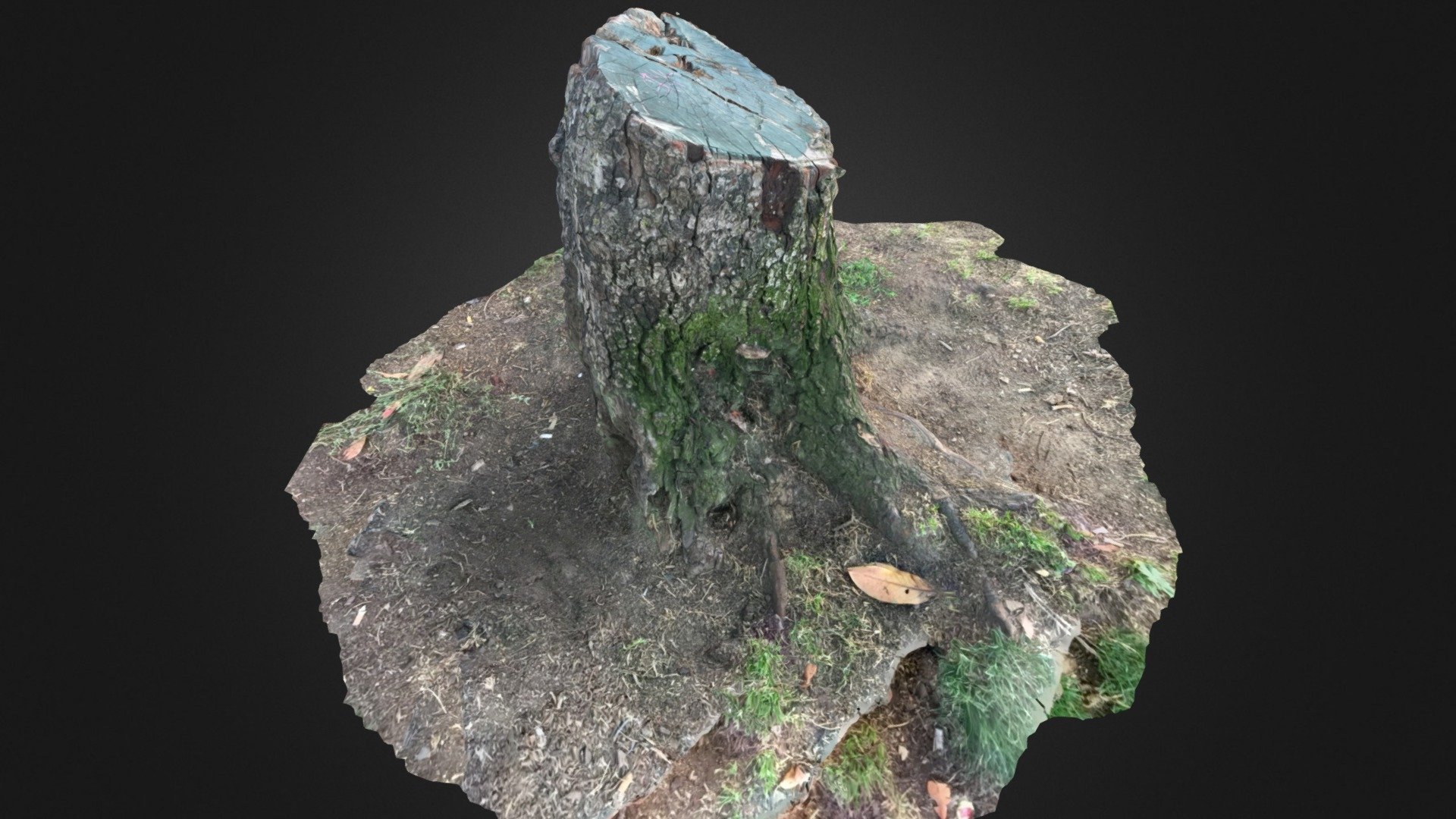 Redo of Tree Stump