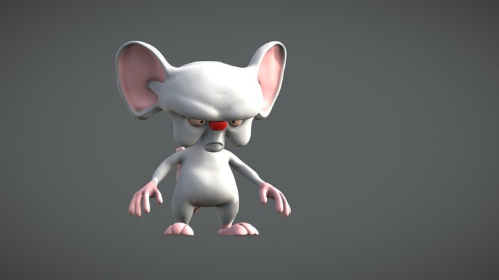 Cerebro 3D Model