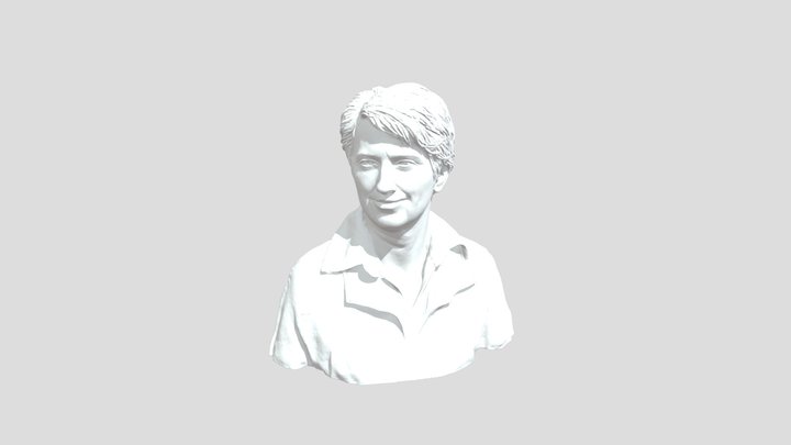Portrait of a Person 3D Model