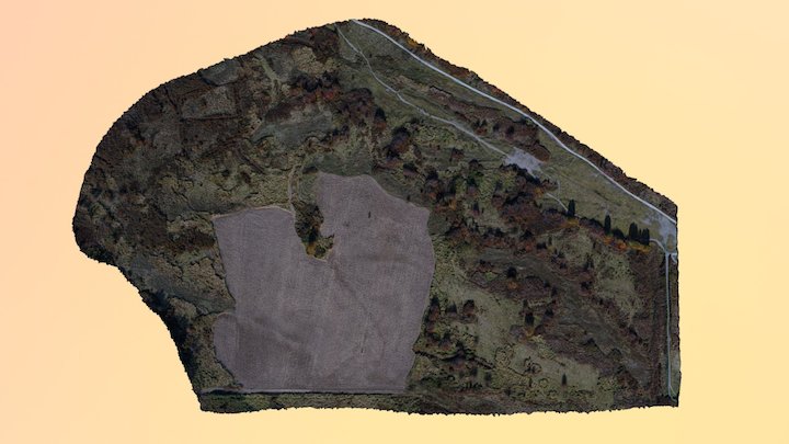 Boundary Bay Park - Remediation Site 3D Model