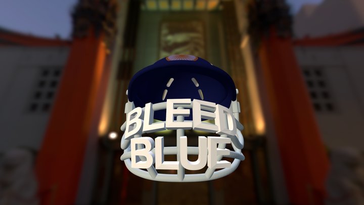 Cricket Helmet 3D Model